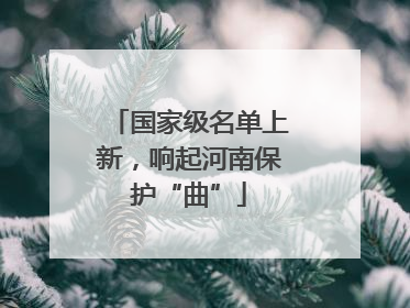 国家级名单上新，响起河南保护“曲”