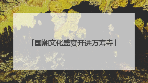 国潮文化盛宴开进万寿寺