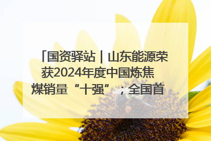 国资驿站｜山东能源荣获2024年度中国炼焦煤销量“十强”；全国首例铁路盖上智慧物流园钢结构主体完工