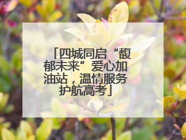 四城同启“馥郁未来”爱心加油站，温情服务护航高考