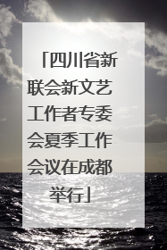 四川省新联会新文艺工作者专委会夏季工作会议在成都举行