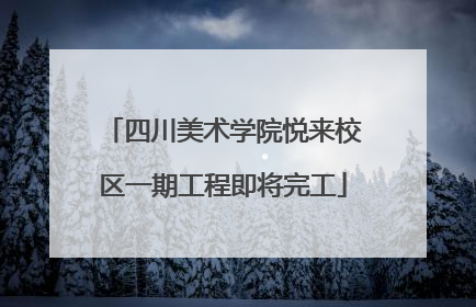 四川美术学院悦来校区一期工程即将完工