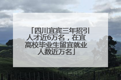 四川宜宾三年招引人才近6万名，在宜高校毕业生留宜就业人数近万名