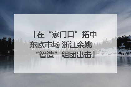 在“家门口”拓中东欧市场 浙江余姚“智造”组团出击