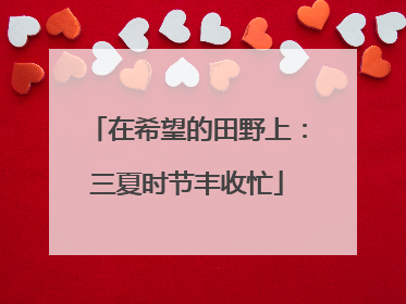 在希望的田野上：三夏时节丰收忙