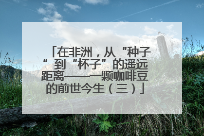 在非洲，从“种子”到“杯子”的遥远距离——一颗咖啡豆的前世今生（三）