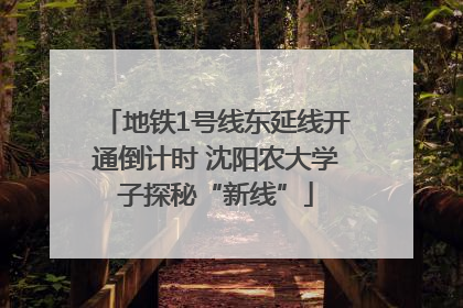 地铁1号线东延线开通倒计时 沈阳农大学子探秘“新线”