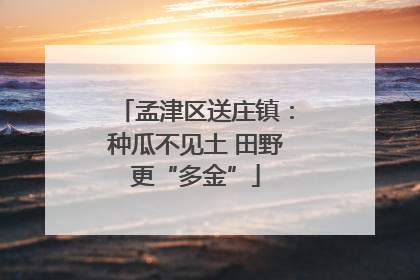 孟津区送庄镇：种瓜不见土 田野更“多金”