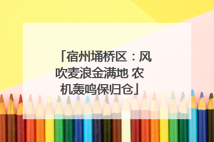 宿州埇桥区：风吹麦浪金满地 农机轰鸣保归仓