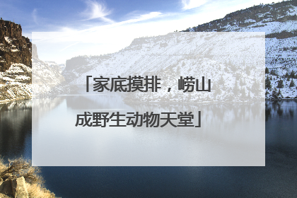 家底摸排，崂山成野生动物天堂