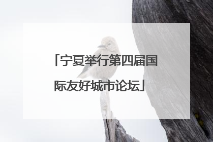 宁夏举行第四届国际友好城市论坛