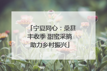 宁夏同心：桑葚丰收季 甜蜜采摘助力乡村振兴