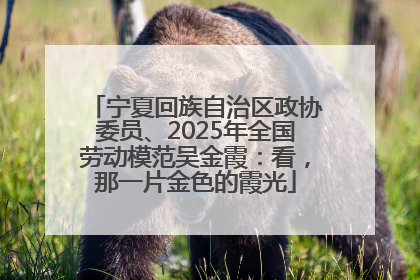 宁夏回族自治区政协委员、2025年全国劳动模范吴金霞：看，那一片金色的霞光