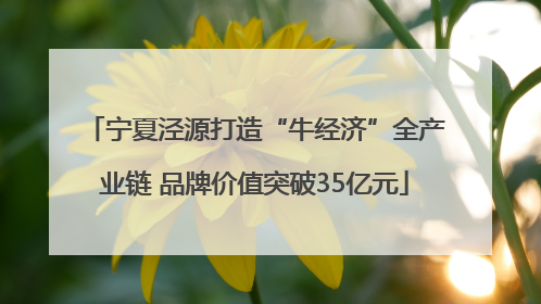 宁夏泾源打造“牛经济”全产业链 品牌价值突破35亿元