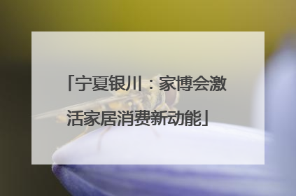 宁夏银川：家博会激活家居消费新动能
