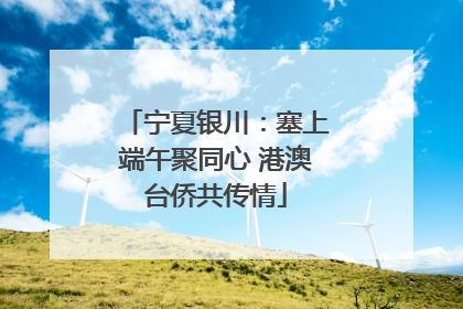 宁夏银川：塞上端午聚同心 港澳台侨共传情