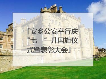 安乡公安举行庆“七一”升国旗仪式暨表彰大会