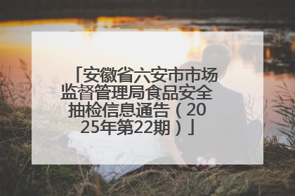安徽省六安市市场监督管理局食品安全抽检信息通告（2025年第22期）