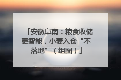 安徽阜南：粮食收储更智能，小麦入仓“不落地”（组图）