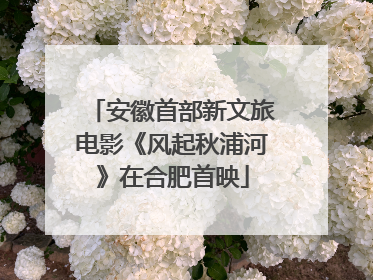 安徽首部新文旅电影《风起秋浦河》在合肥首映