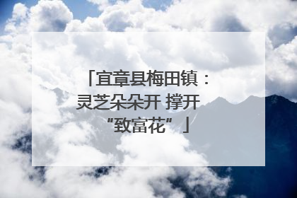 宜章县梅田镇：灵芝朵朵开 撑开“致富花”