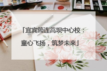 宜宾筠连蒿坝中心校：童心飞扬，筑梦未来