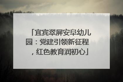 宜宾翠屏安阜幼儿园：党建引领新征程，红色教育润初心