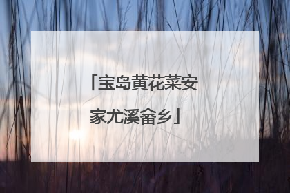 宝岛黄花菜安家尤溪畲乡
