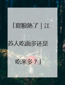 夏粮熟了｜江苏人吃面多还是吃米多？