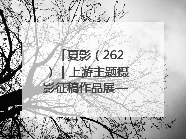 夏影（262）｜上游主题摄影征稿作品展——黄红专作品
