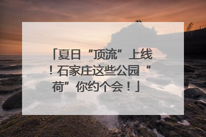 夏日“顶流”上线！石家庄这些公园“荷”你约个会！