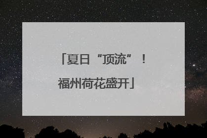 夏日“顶流”！福州荷花盛开
