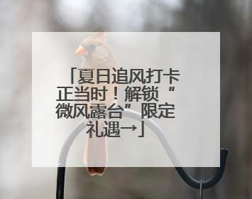 夏日追风打卡正当时！解锁“微风露台”限定礼遇→
