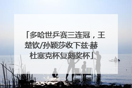 多哈世乒赛三连冠，王楚钦/孙颖莎收下兹·赫杜塞克杯复刻奖杯