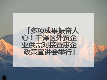 多项成果振奋人心！丰泽区外贸企业供需对接暨惠企政策宣讲会举行
