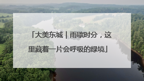大美东城｜雨歇时分，这里藏着一片会呼吸的绿境