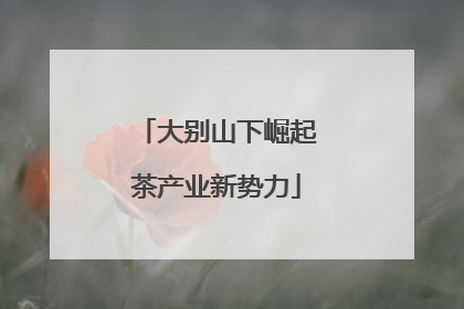 大别山下崛起茶产业新势力