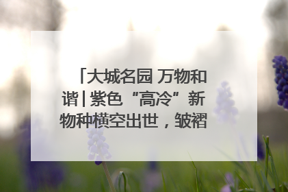 大城名园 万物和谐│紫色“高冷”新物种横空出世，皱褶叶片暗藏进化密码