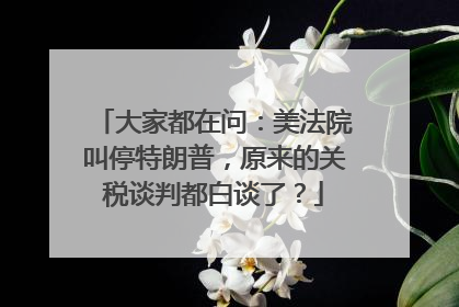 大家都在问：美法院叫停特朗普，原来的关税谈判都白谈了？