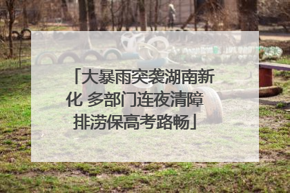大暴雨突袭湖南新化 多部门连夜清障排涝保高考路畅