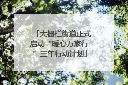 大栅栏街道正式启动“暖心万家行”三年行动计划