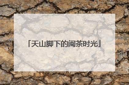 天山脚下的闽茶时光