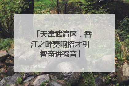 天津武清区：香江之畔奏响招才引智奋进强音