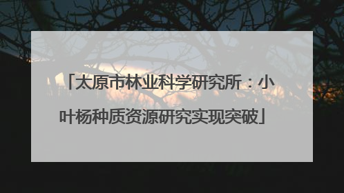 太原市林业科学研究所：小叶杨种质资源研究实现突破