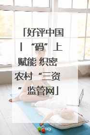 好评中国丨“码”上赋能 织密农村“三资”监管网
