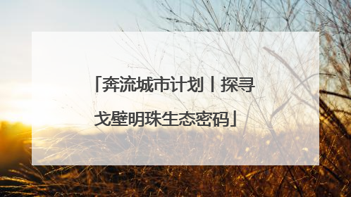 奔流城市计划丨探寻戈壁明珠生态密码