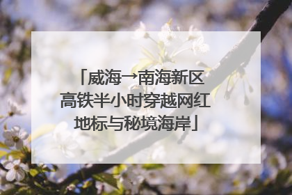 威海→南海新区 高铁半小时穿越网红地标与秘境海岸