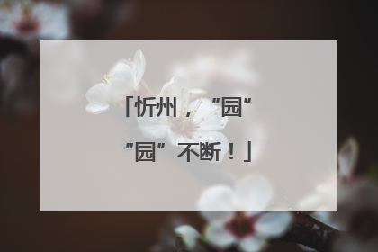 忻州，“园”“园”不断！
