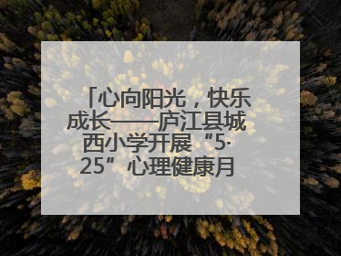 心向阳光，快乐成长——庐江县城西小学开展“5·25”心理健康月系列活动
