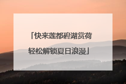 快来莲都碧湖赏荷 轻松解锁夏日浪漫